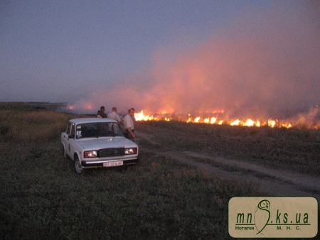 Пожежа на Потіївській ділянці Чорноморського біосферного заповідника
